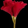 Amaryllis artificielle sur tige | Action FR