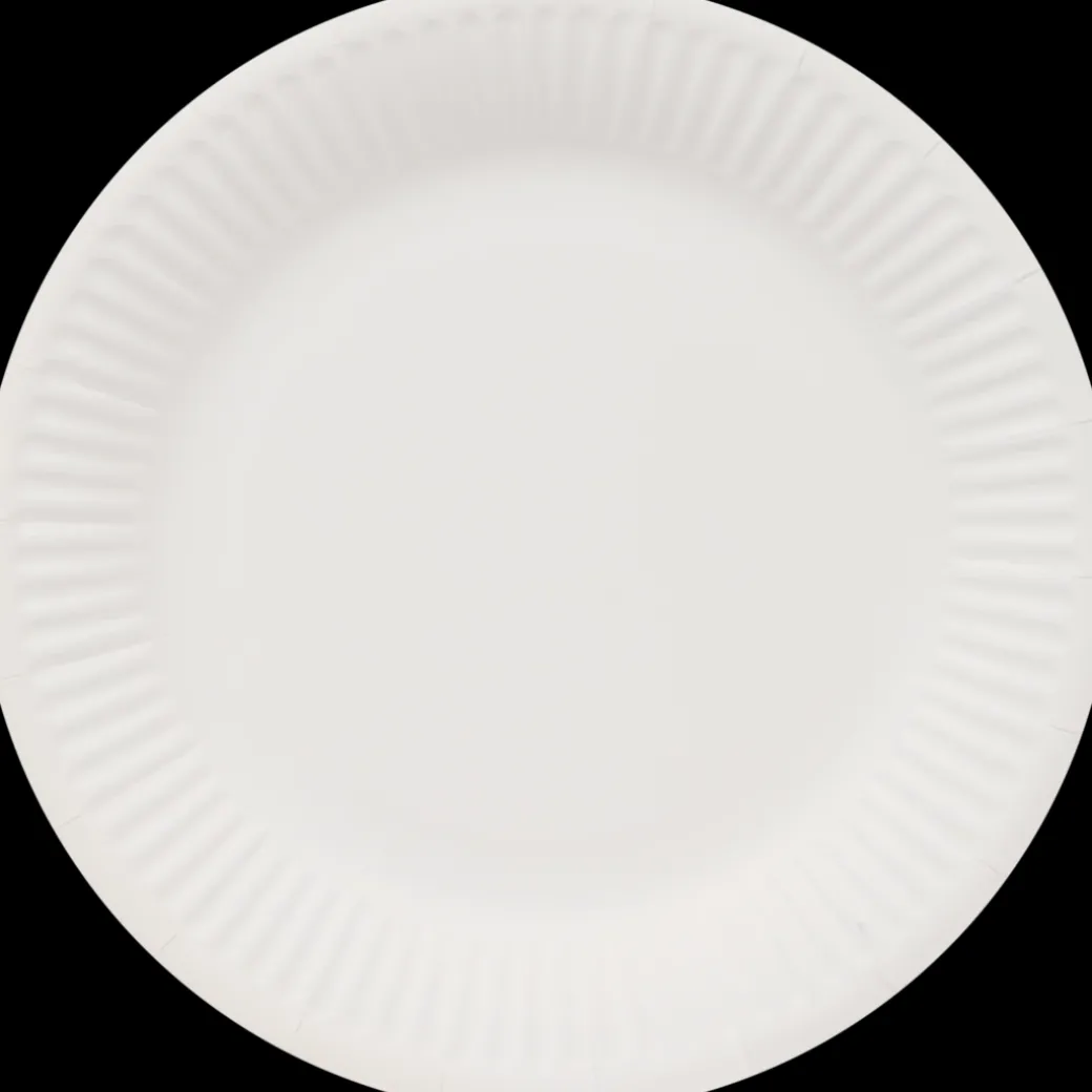 Assiettes en carton | Action FR