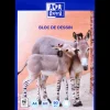 Bloc de papier dessin A4 Oxford | Action FR