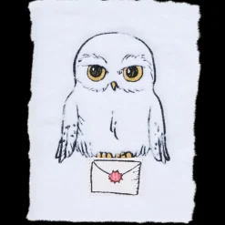 Carnet de notes Harry Potter A5 | Action FR