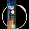 Collier LED rechargeable pour chien | Action FR