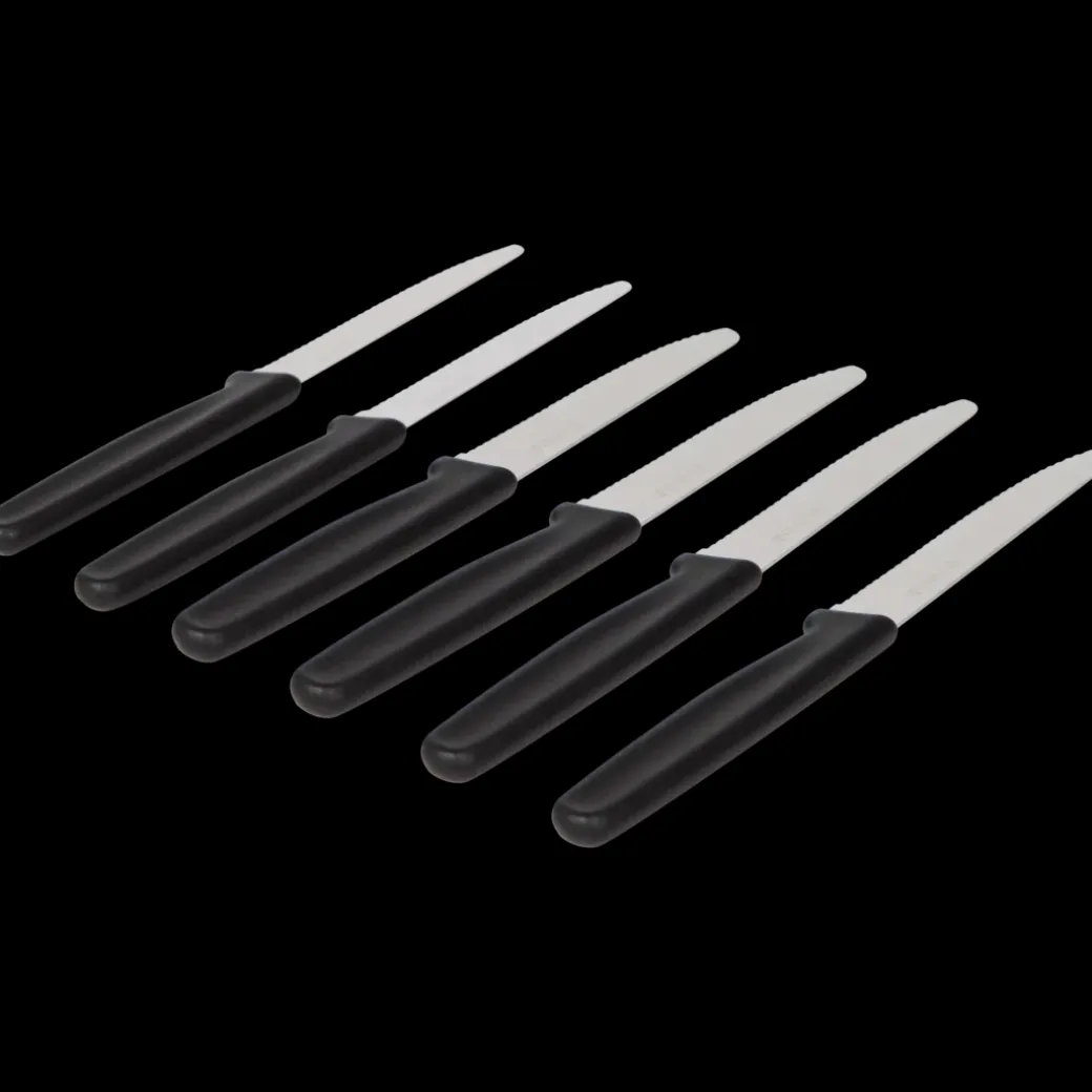 Couteaux de cuisine Lowenthal 6 Pièces | Action FR