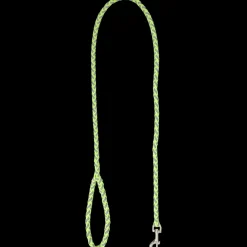 Laisse pour chien | Action FR