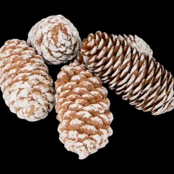 Mélange décoratif | Action FR