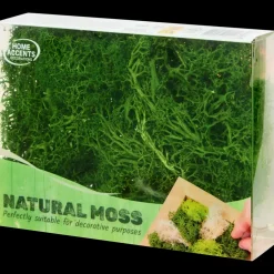 Mousse décorative | Action FR