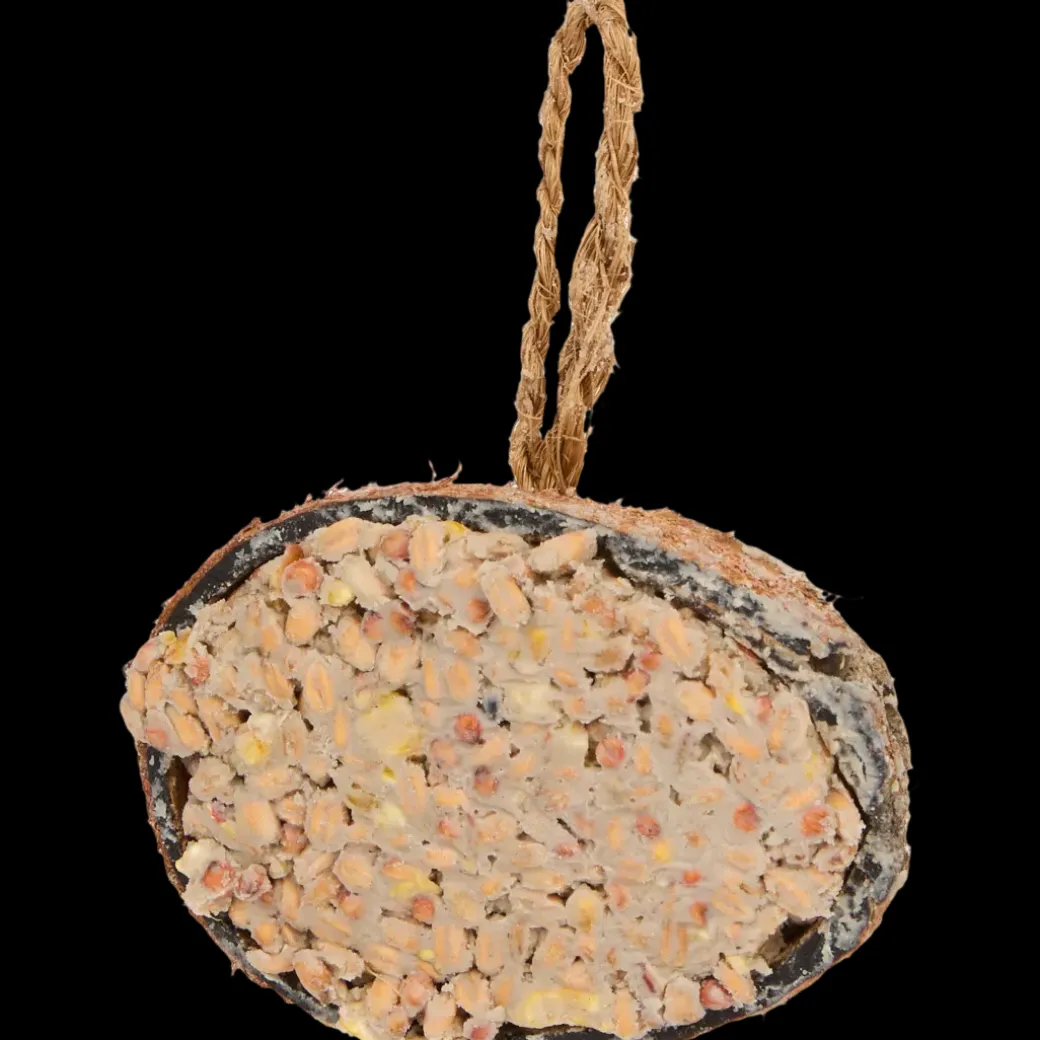 Noix de coco garnie pour oiseaux Bites for Birds | Action FR