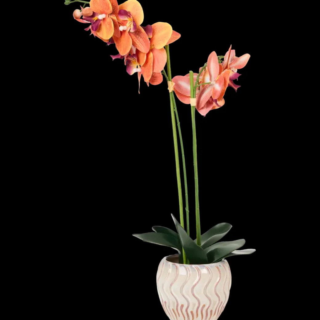 Orchidée artificielle en pot The Hamptons Collections HOME | Action FR