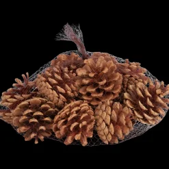 Pommes de pin décoratives Home Accents | Action FR