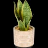 Sansevieria artificielle en pot The Hamptons Collections HOME | Action FR