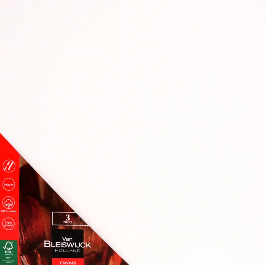 Toiles à peindre Van Bleiswijck | Action FR